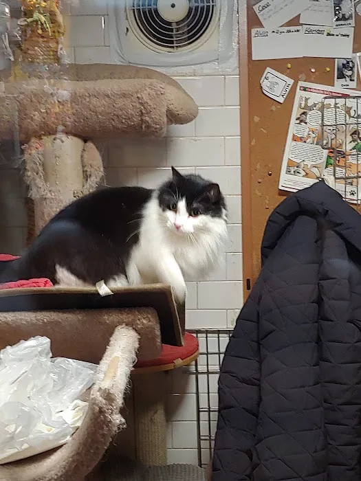 Spoiled Brats Pet Shop Picture 7