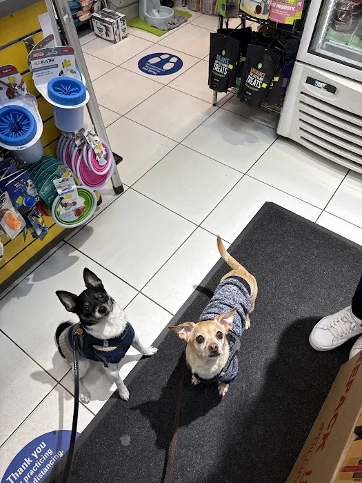 The Pet Market Picture 5