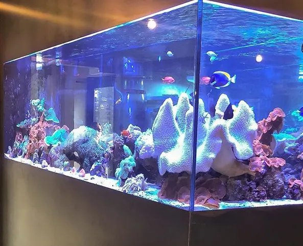 Okeanos Aquascaping Picture 8