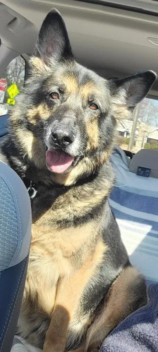 Animal Hospital of Nesconset Dr. Mary Leister Picture 5