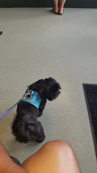 Greenlawn Animal Hospital Picture 3