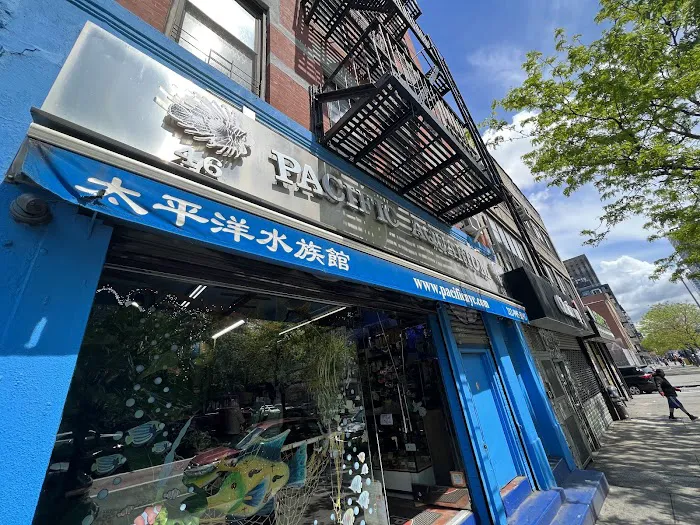 Pacific Aquarium & Plant Picture 1