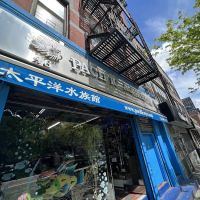 Pacific Aquarium & Plant ico