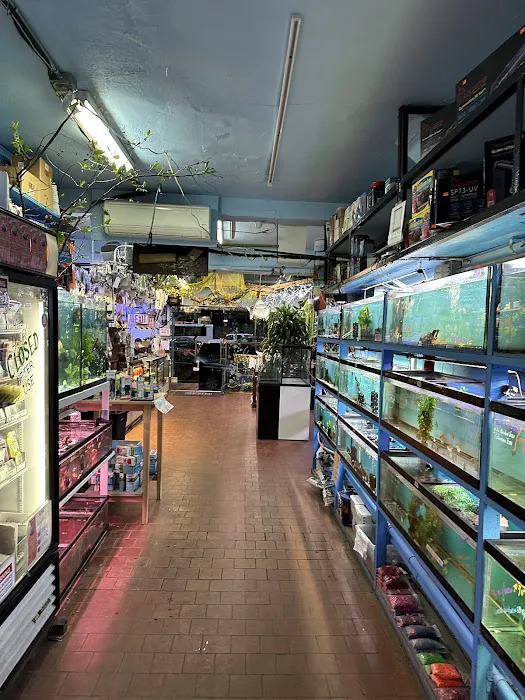 Pacific Aquarium & Plant Picture 2