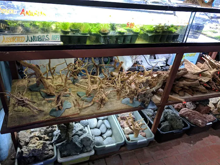 Pacific Aquarium & Plant Picture 10