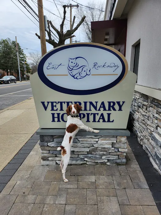 East Rockaway Veterinary Hospital Picture 2
