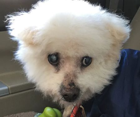 East Rockaway Veterinary Hospital