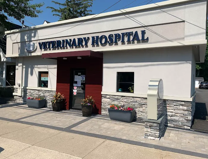 East Rockaway Veterinary Hospital Picture 3