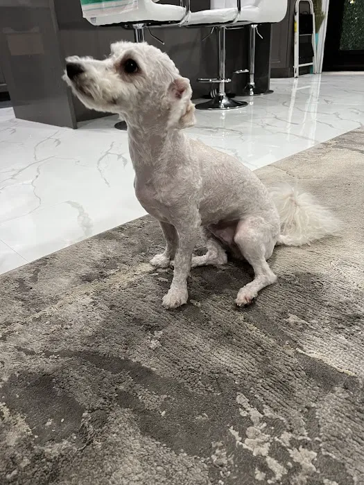 Assisi Veterinary Hospital Picture 1