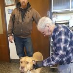 Crawford Animal Hospital