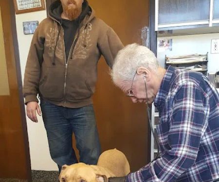 Crawford Animal Hospital