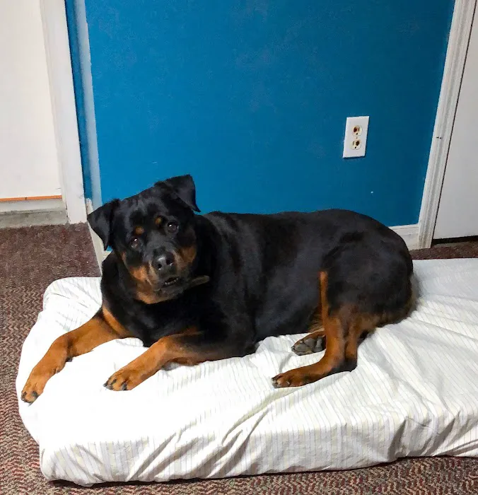 Crawford Animal Hospital Picture 5