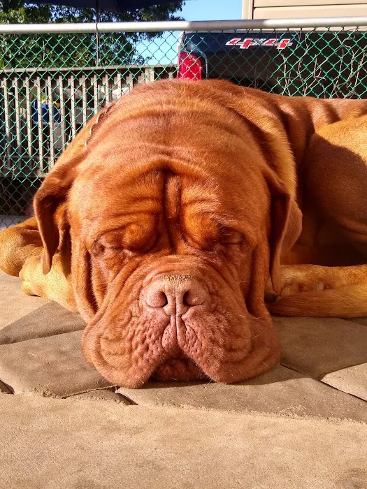 Crawford Animal Hospital Picture 10