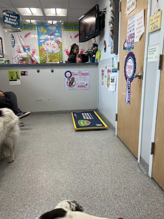 Island Park Animal Hospital Picture 7