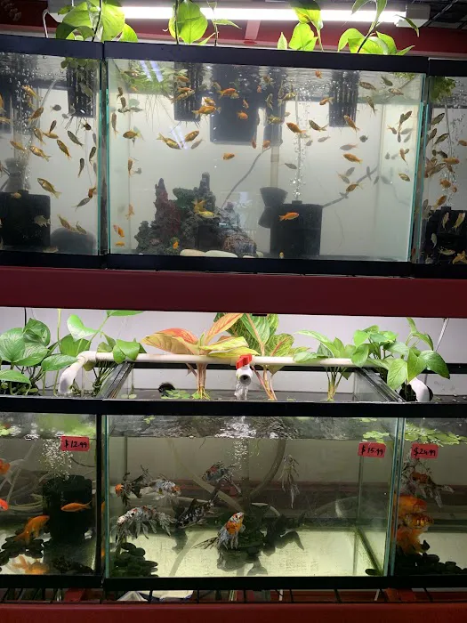 Natty Pet Shop Picture 5