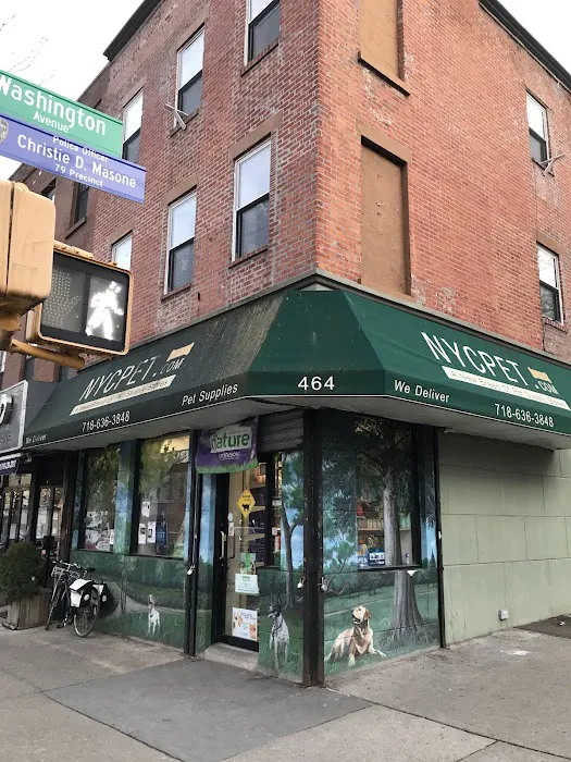 NYC Pet Picture 1