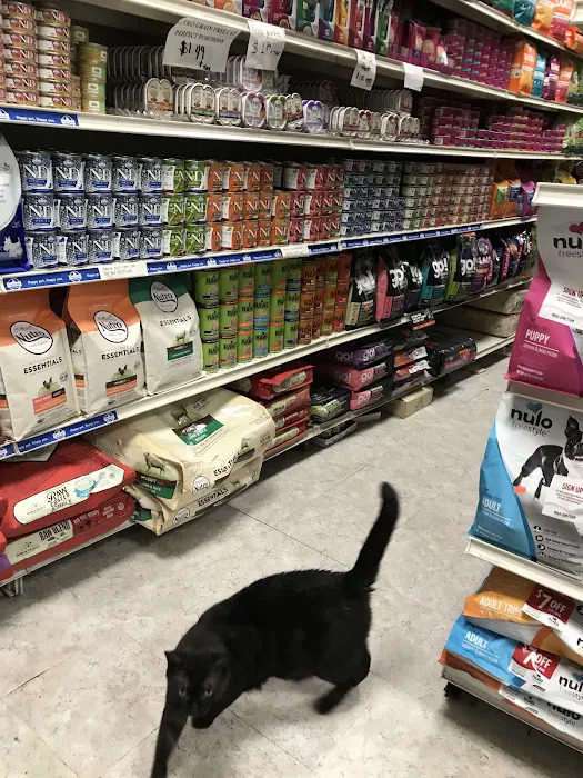 NYC Pet Picture 2
