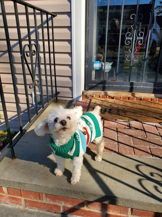 West Hempstead Animal Hospital Picture 3