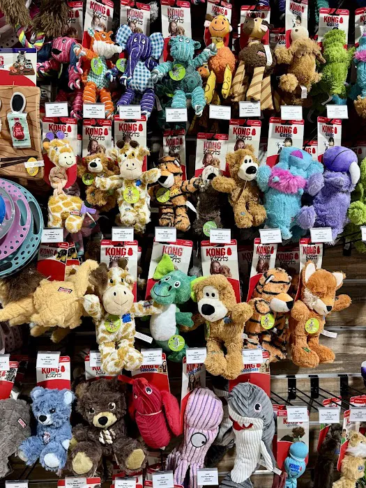 Pet Club Pet Supply Picture 3