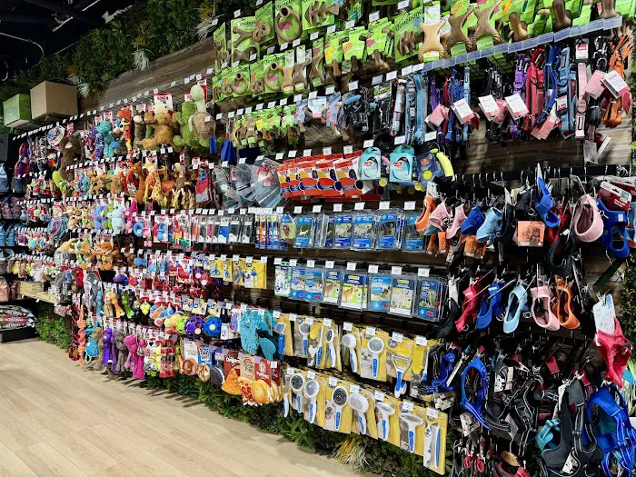 Pet Club Pet Supply Picture 5