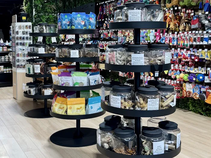 Pet Club Pet Supply Picture 4