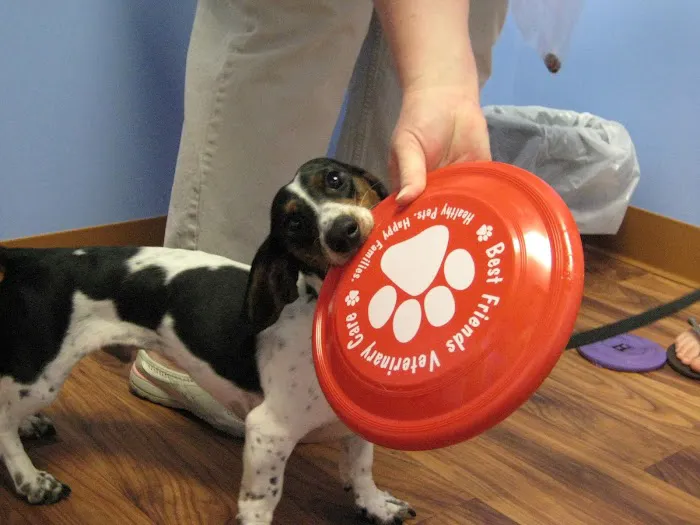 Best Friends Veterinary Care Picture 1