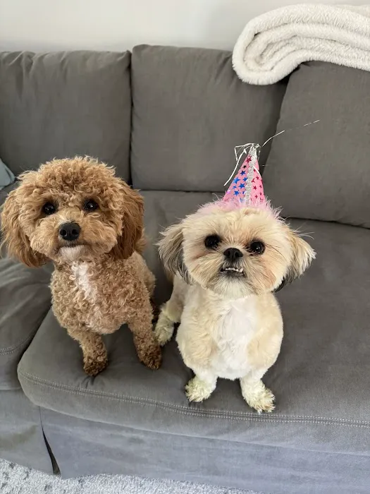 Best Friends Veterinary Care Picture 3