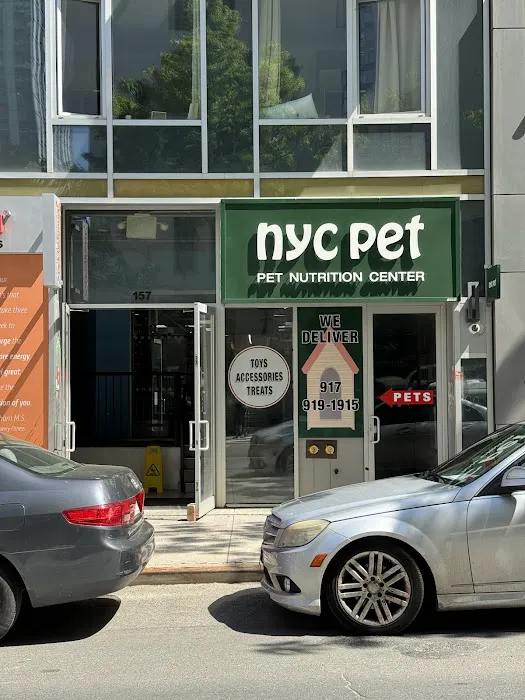 NYC Pet Picture 1