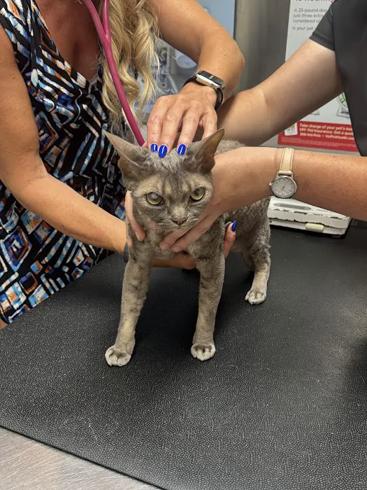Hawkins Animal Hospital & Wellness Center Picture 6