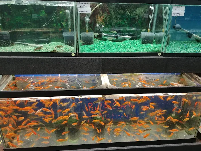 Whole Pets Market Picture 3