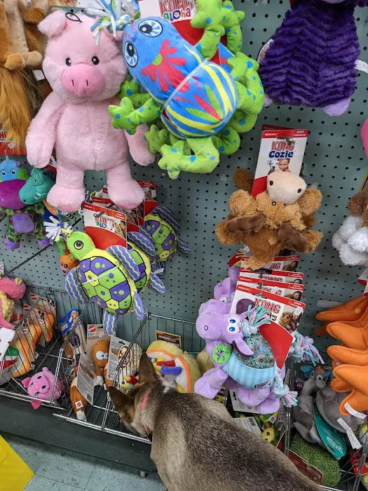 Whole Pets Market Picture 1