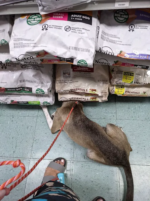 Whole Pets Market Picture 9