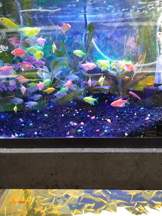 Whole Pets Market Picture 10