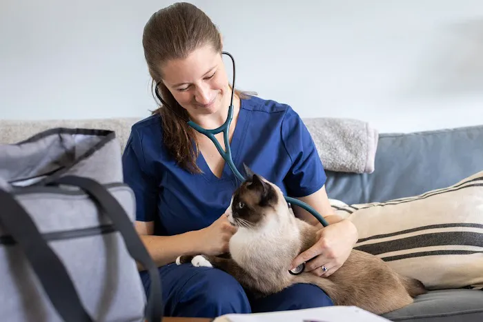 Cozy Care Mobile Veterinary Services Picture 1