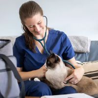 Cozy Care Mobile Veterinary Services ico