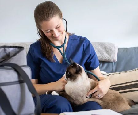 Cozy Care Mobile Veterinary Services