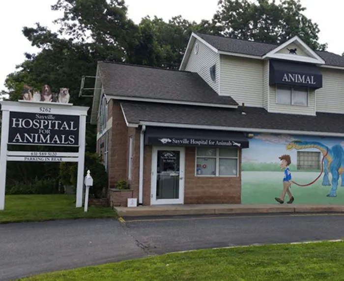Sayville Animal Hospital Picture 3