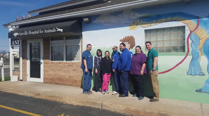 Sayville Animal Hospital Picture 2