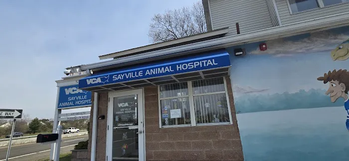 Sayville Animal Hospital Picture 8