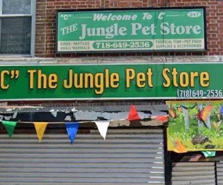 C The Jungle Pet Store