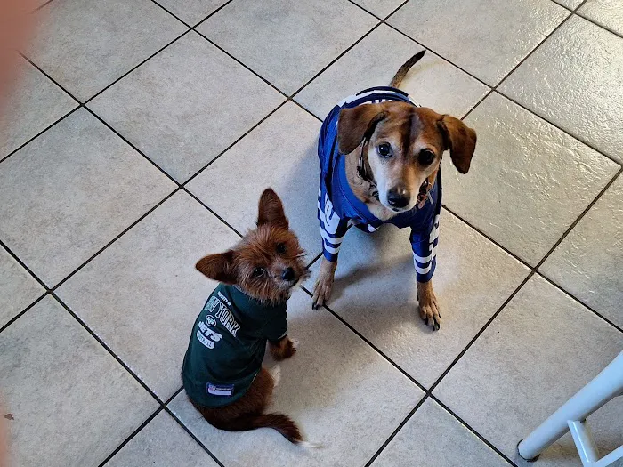 Grady Animal Hospital Picture 2