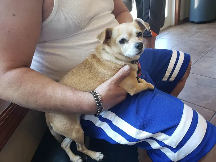 Grady Animal Hospital Picture 5