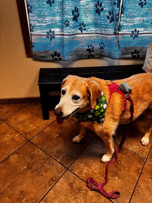 Grady Animal Hospital Picture 10