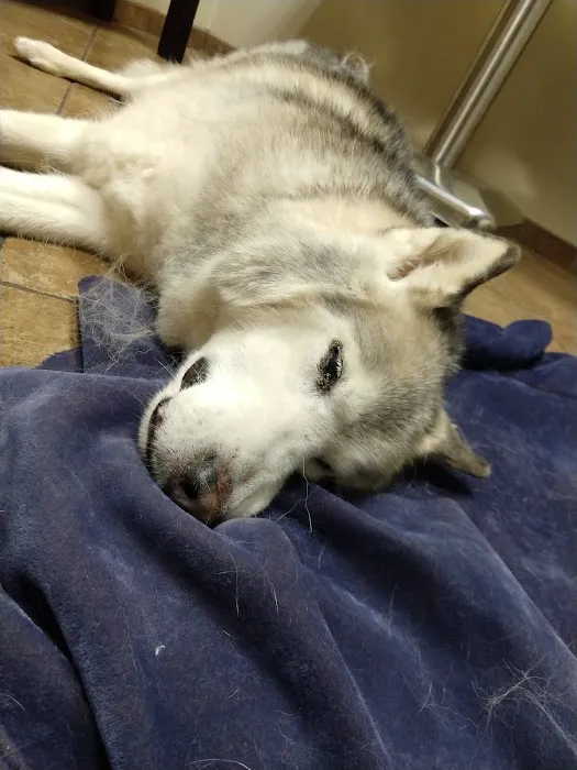 Grady Animal Hospital Picture 9