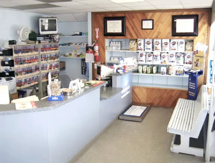 Blue Point-Bayport Animal Hospital Picture 2