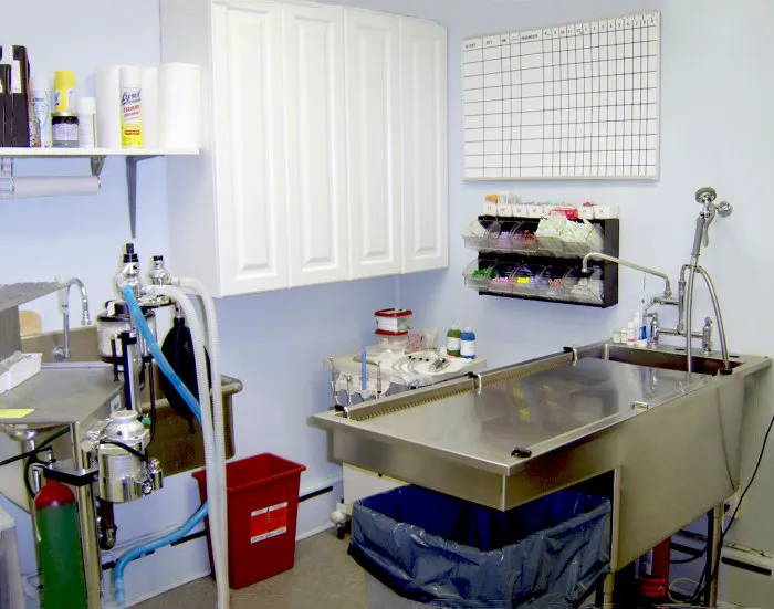 Blue Point-Bayport Animal Hospital Picture 8