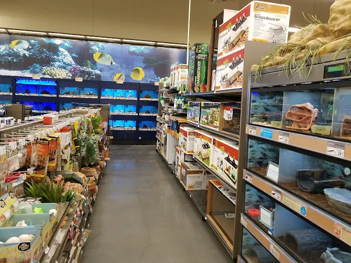 Petco Picture 2