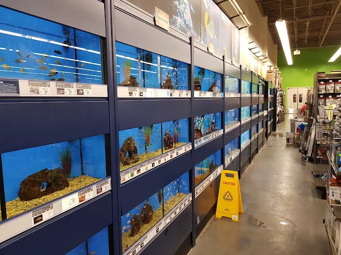 Petco Picture 10