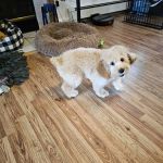 Bayport Veterinary Hospital