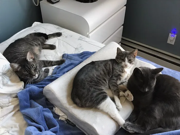 Bayport Veterinary Hospital Picture 4